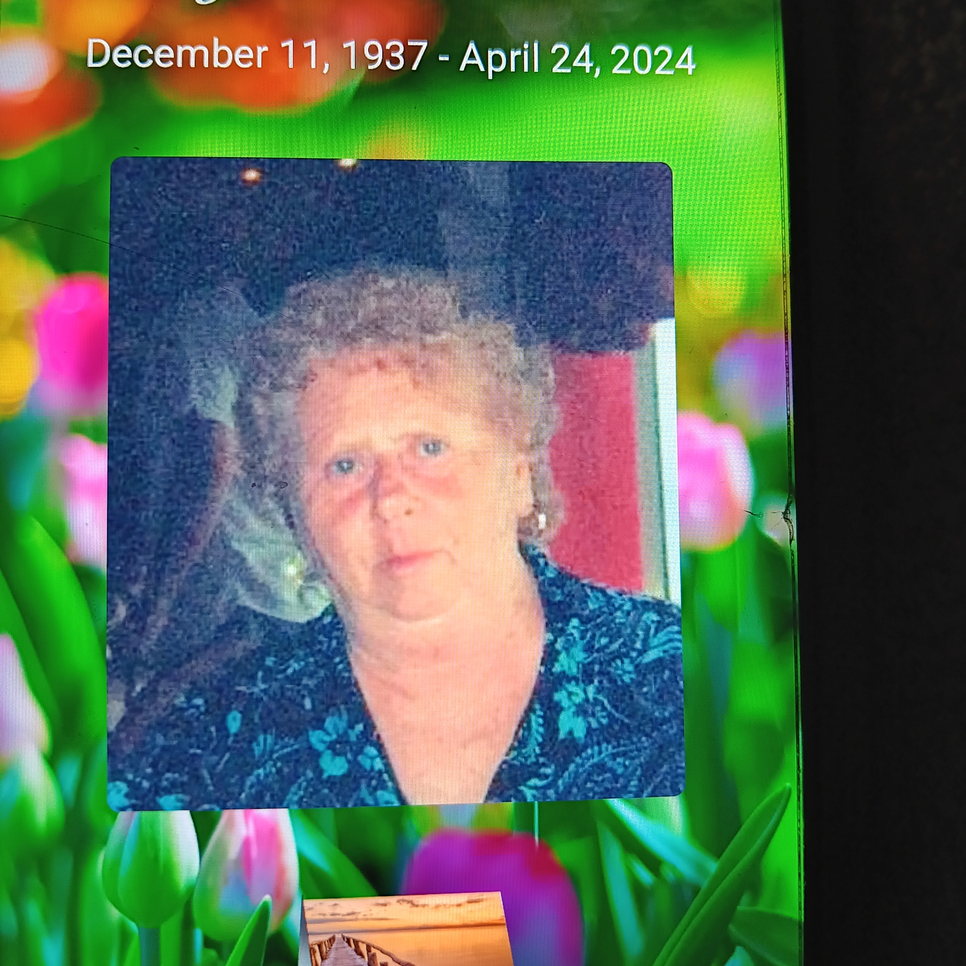 Margaret M. Rosado's obituary , Passed away on April 24, 2024 in Meriden, Connecticut