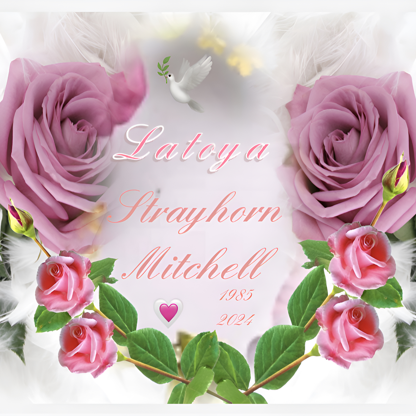 LaToya Strayhorn-Mitchell's obituary , Passed away on April 18, 2024 in Huntingdon, Tennessee