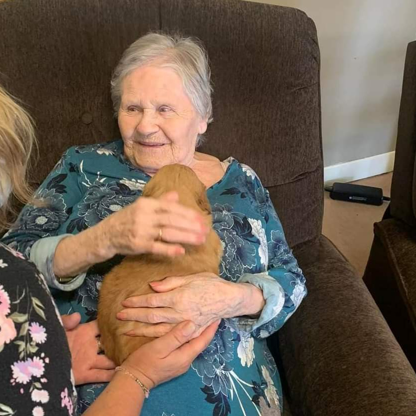 Yvonne Jeanne Comeau Obituary
