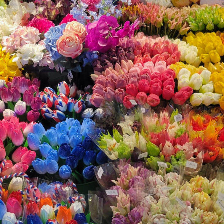 Joseph Ovila Anastase Dubuc