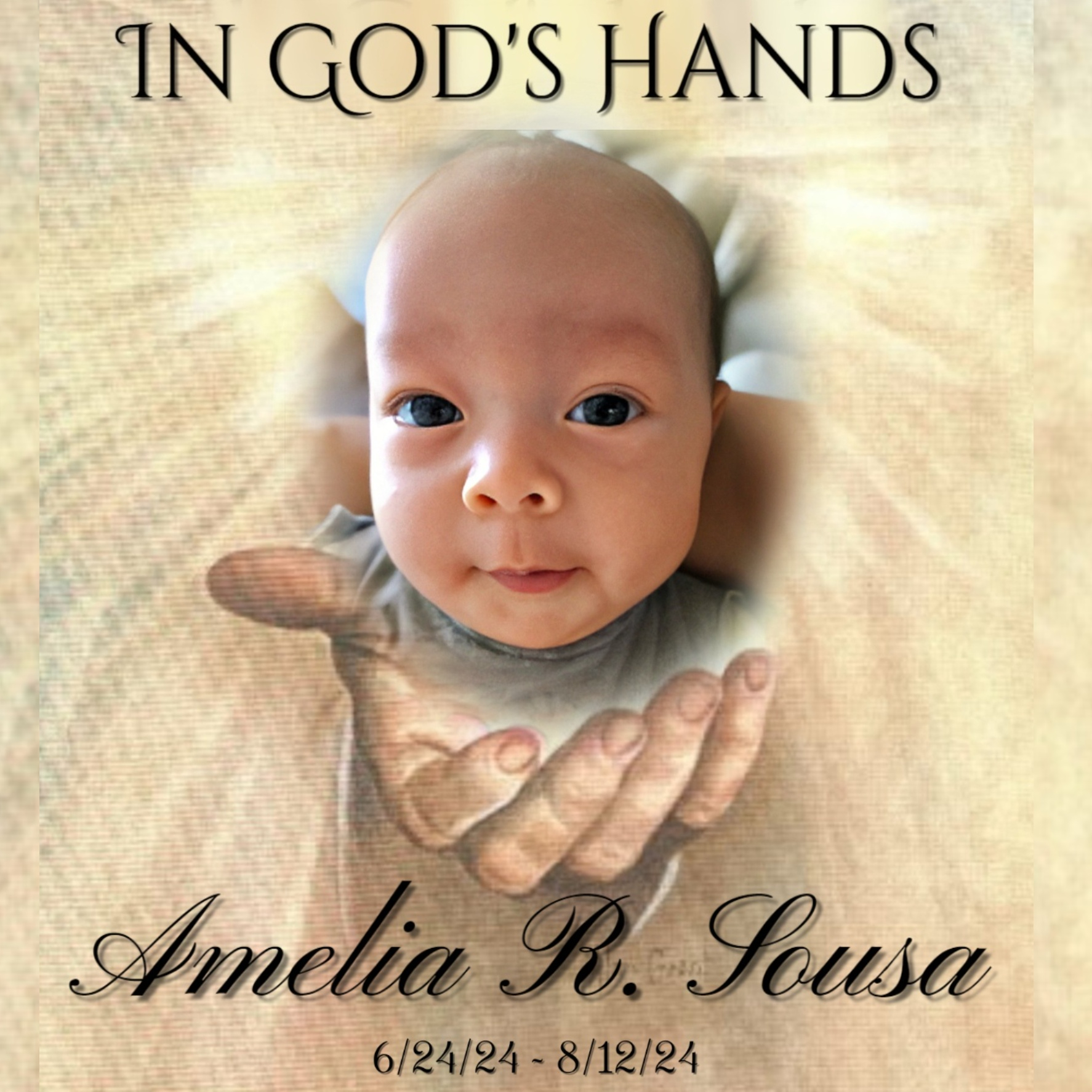 Amelia Rose Sousa's obituary , Passed away on August 12, 2024 in Thunder Bay, Ontario
