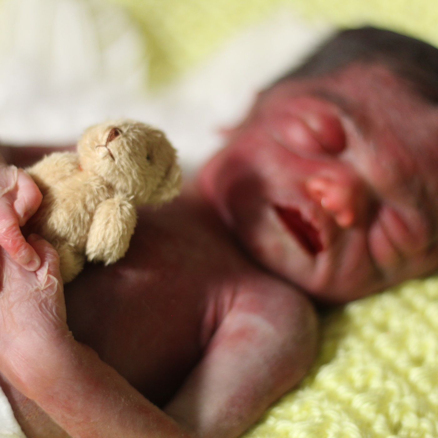 Kingston Lee Antwon Chapman's obituary , Passed away on September 26, 2024 in Lenoir, North Carolina