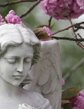Evelyn M. Sheehan-Smedberg's obituary , Passed away on December 7, 2024 in Harrison, New York