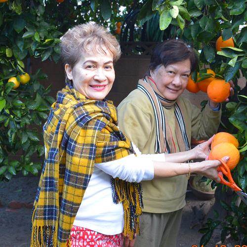 Liwanag Patricio Tongson