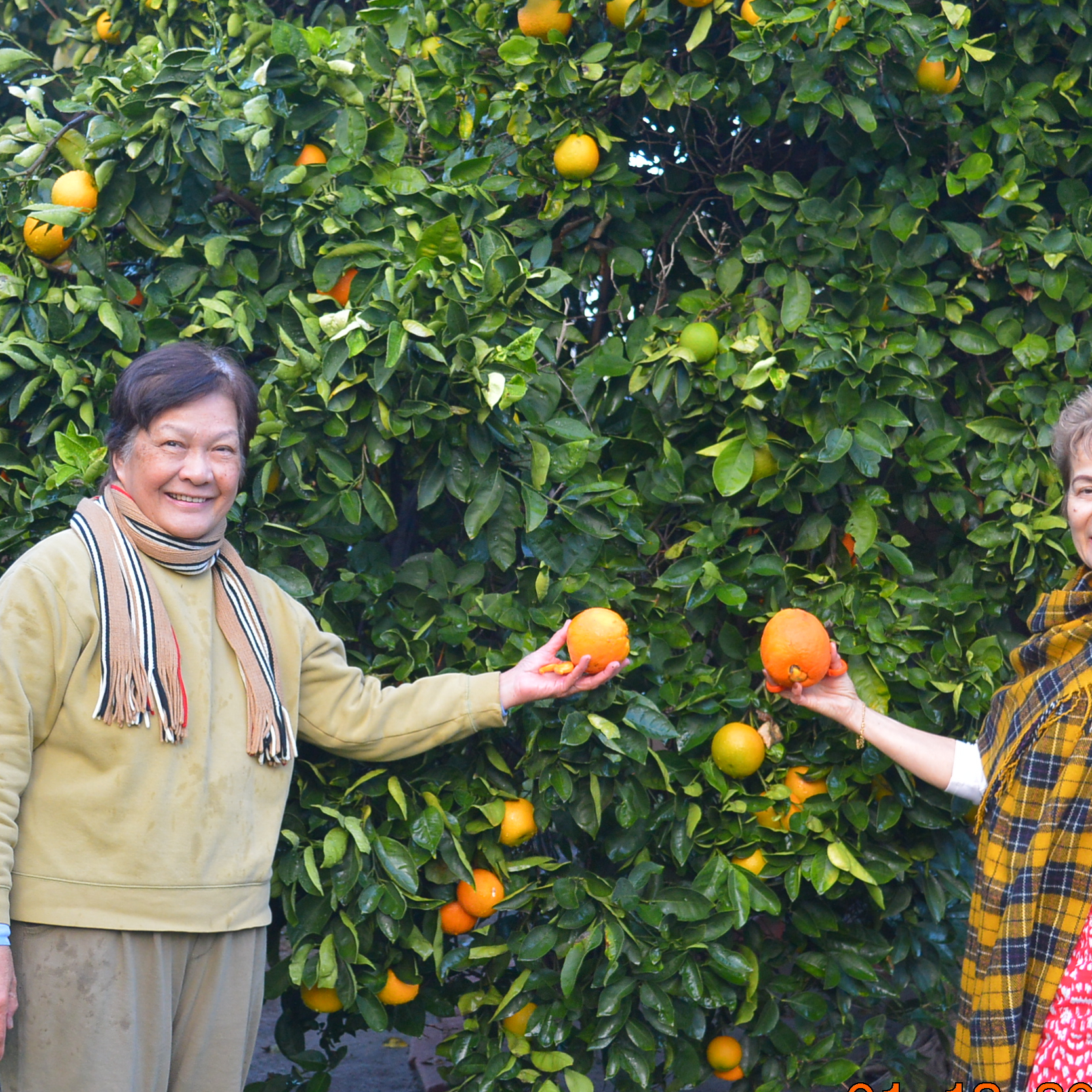 Liwanag Patricio Tongson