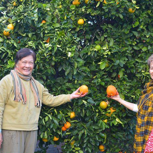 Liwanag Patricio Tongson