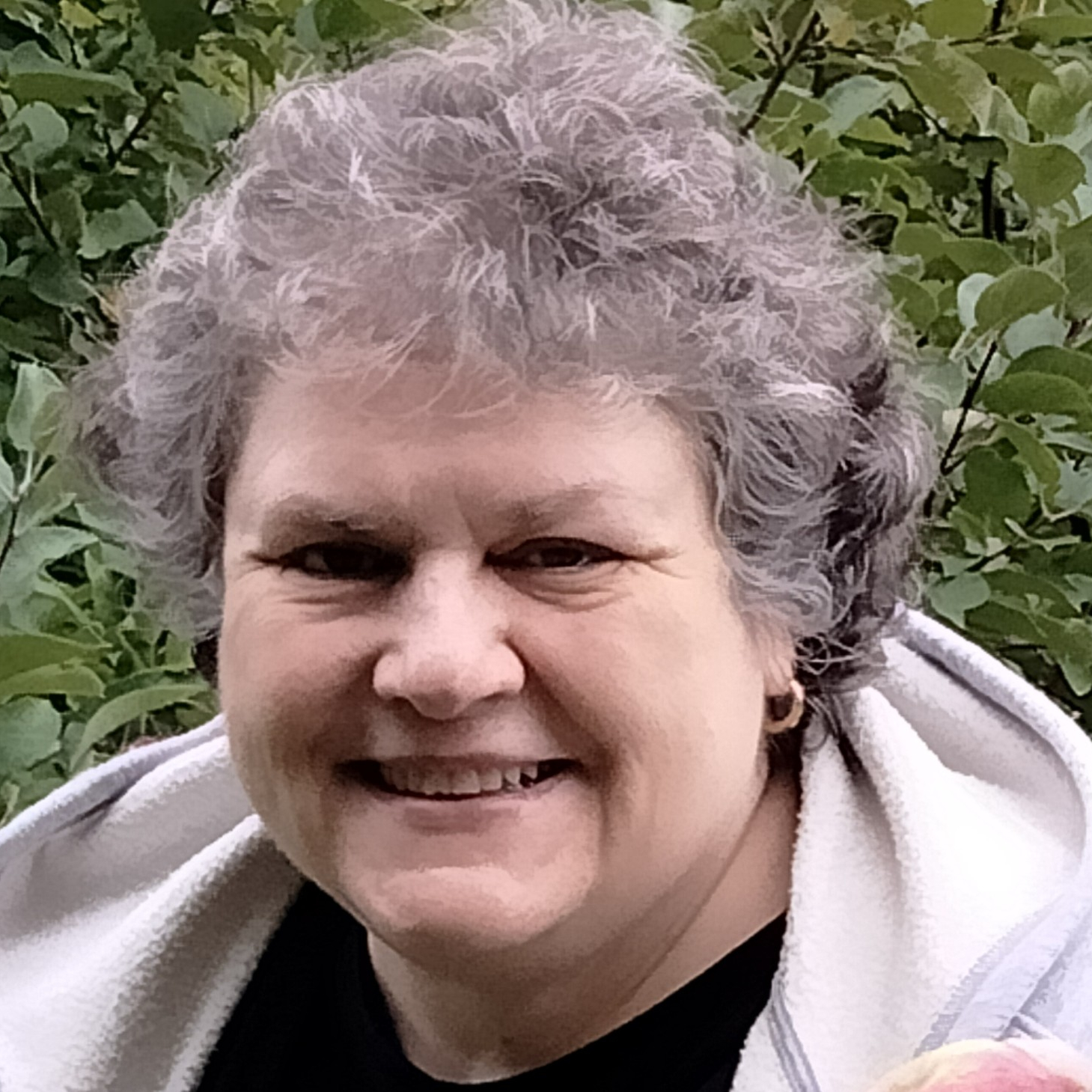 Debora L. Arns's obituary , Passed away on January 6, 2025 in Norton, Massachusetts