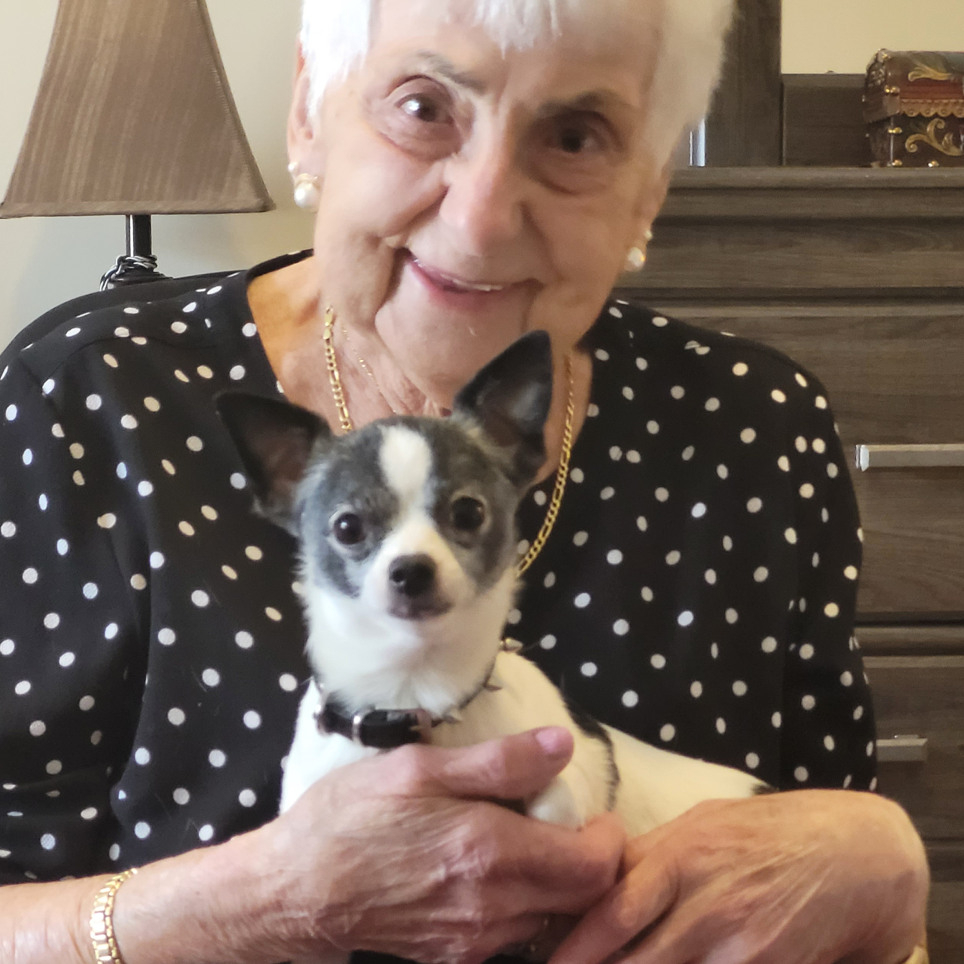 Carolyn Jean Stellinga's obituary , Passed away on February 4, 2025 in Lunenburg, Nova Scotia