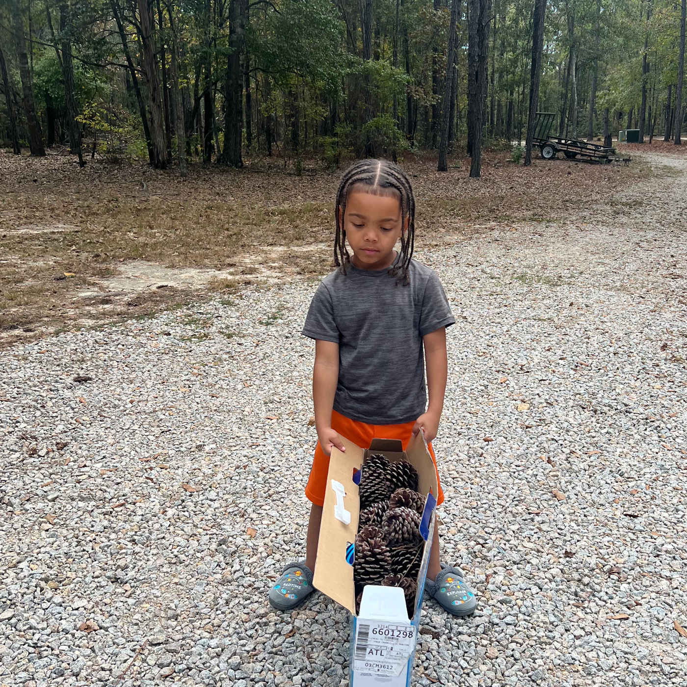 Master Kingston Mack Burns Obituary