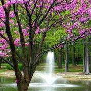 Ronald Nelson Buckler's obituary , Passed away on March 1, 2025 in Olive Hill, Kentucky