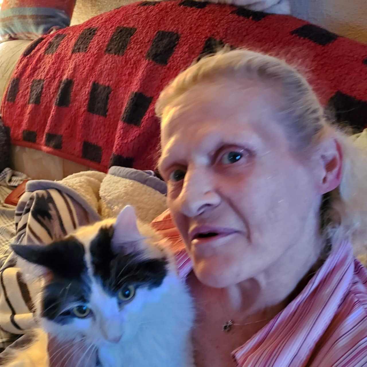 Joann Clark's obituary , Passed away on March 7, 2025 in Marion, Indiana