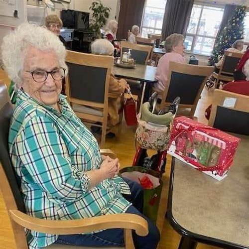 Luetta Ann Fries Obituary