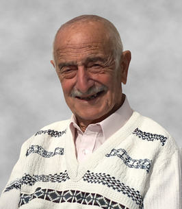 Domenic Antonio Di Girolamo Obituary