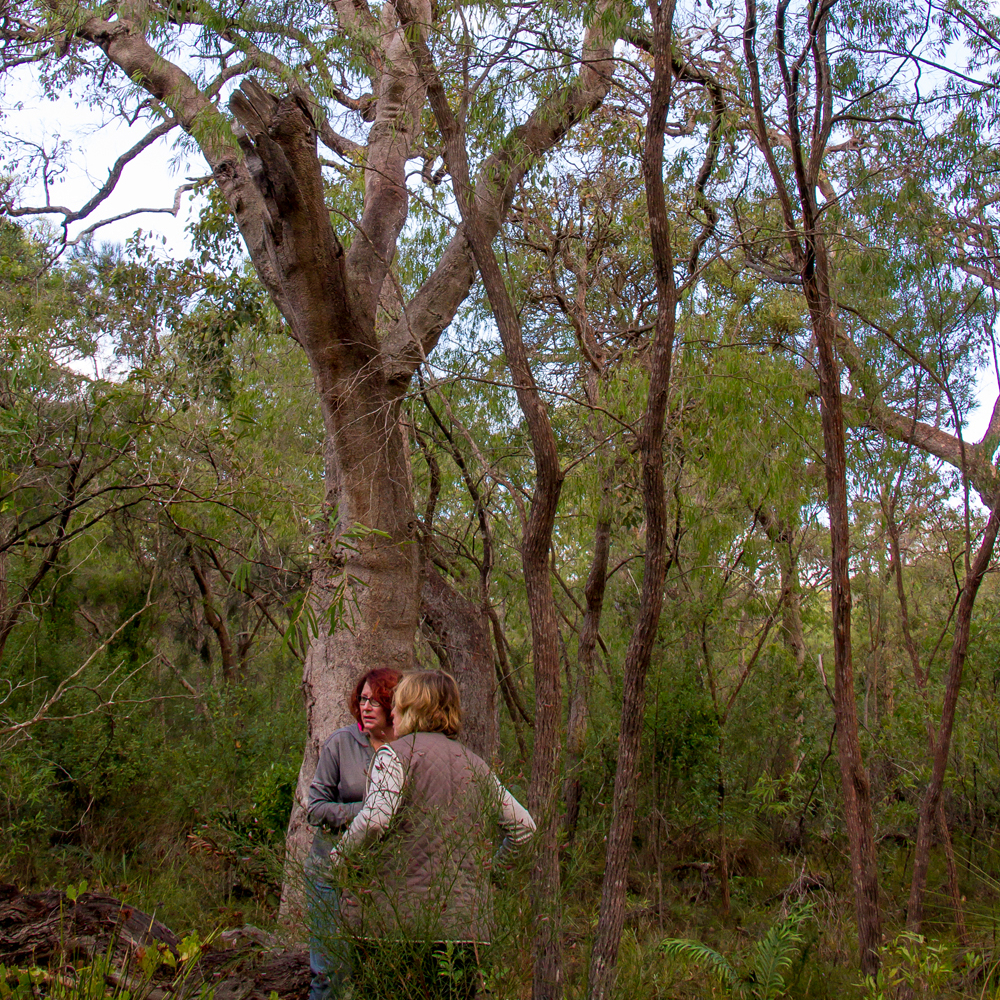 Patricia Anne Pickard (Dufty) Parker