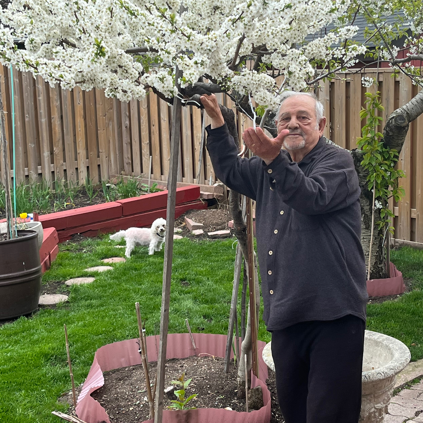 Francesco Giorgi Obituary