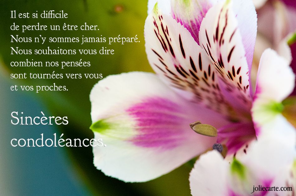 Pierre Plouffe