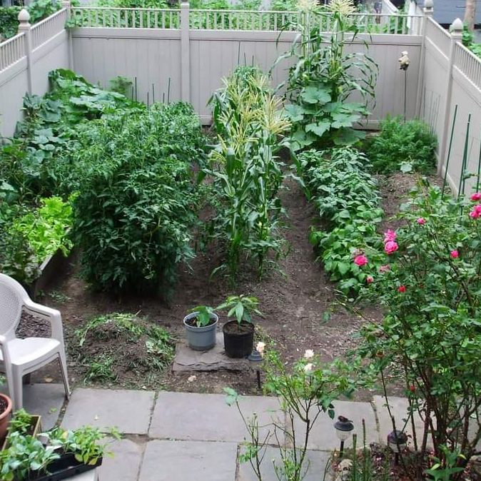 Jacob Lawrence Archer