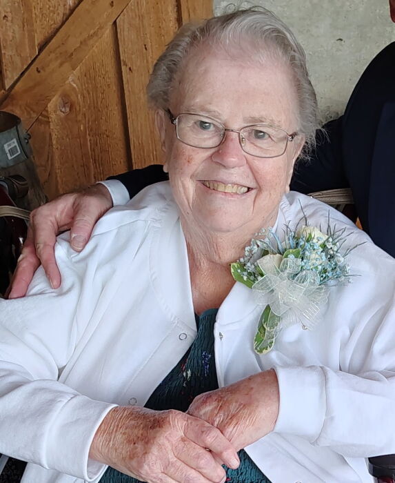 Anna Mae Virginia Seibel's obituary , Passed away on July 19, 2025 in Darlington, Maryland