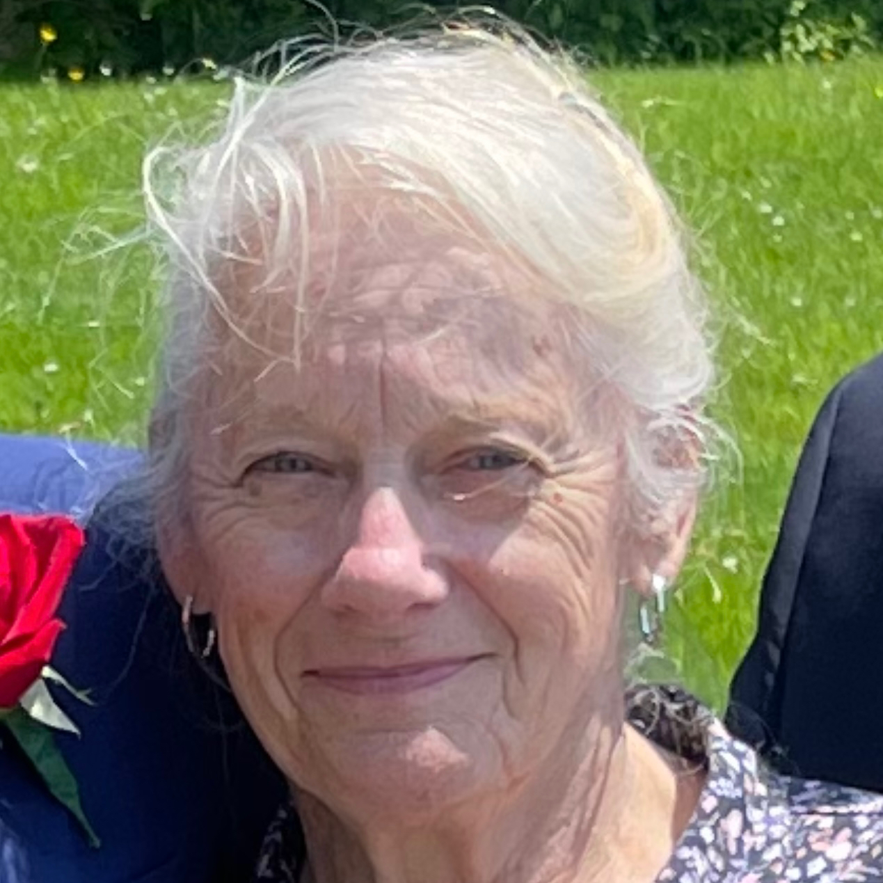 Louise Cermignani Obituary