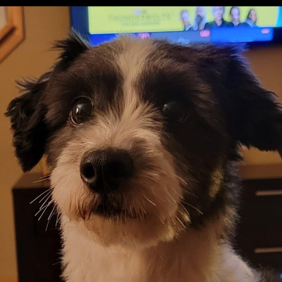 Sara S. Feuerstahler