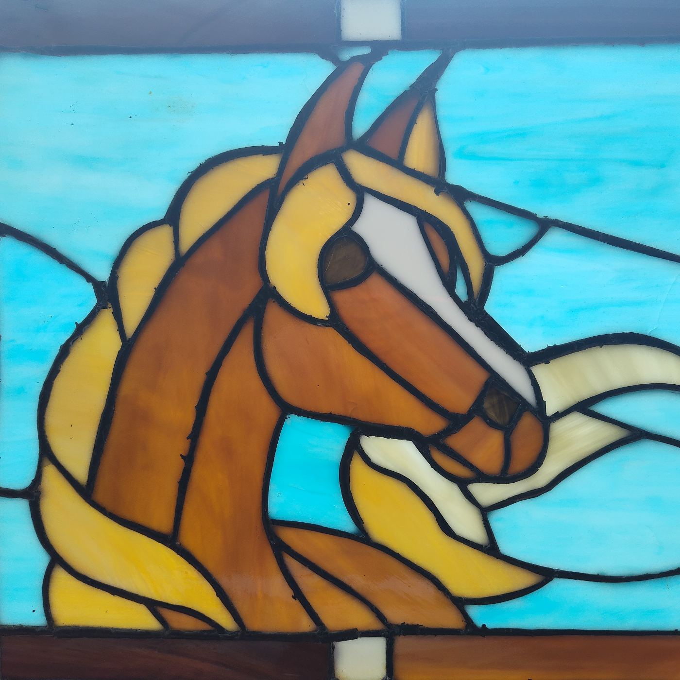 Donna Campbell Tucker