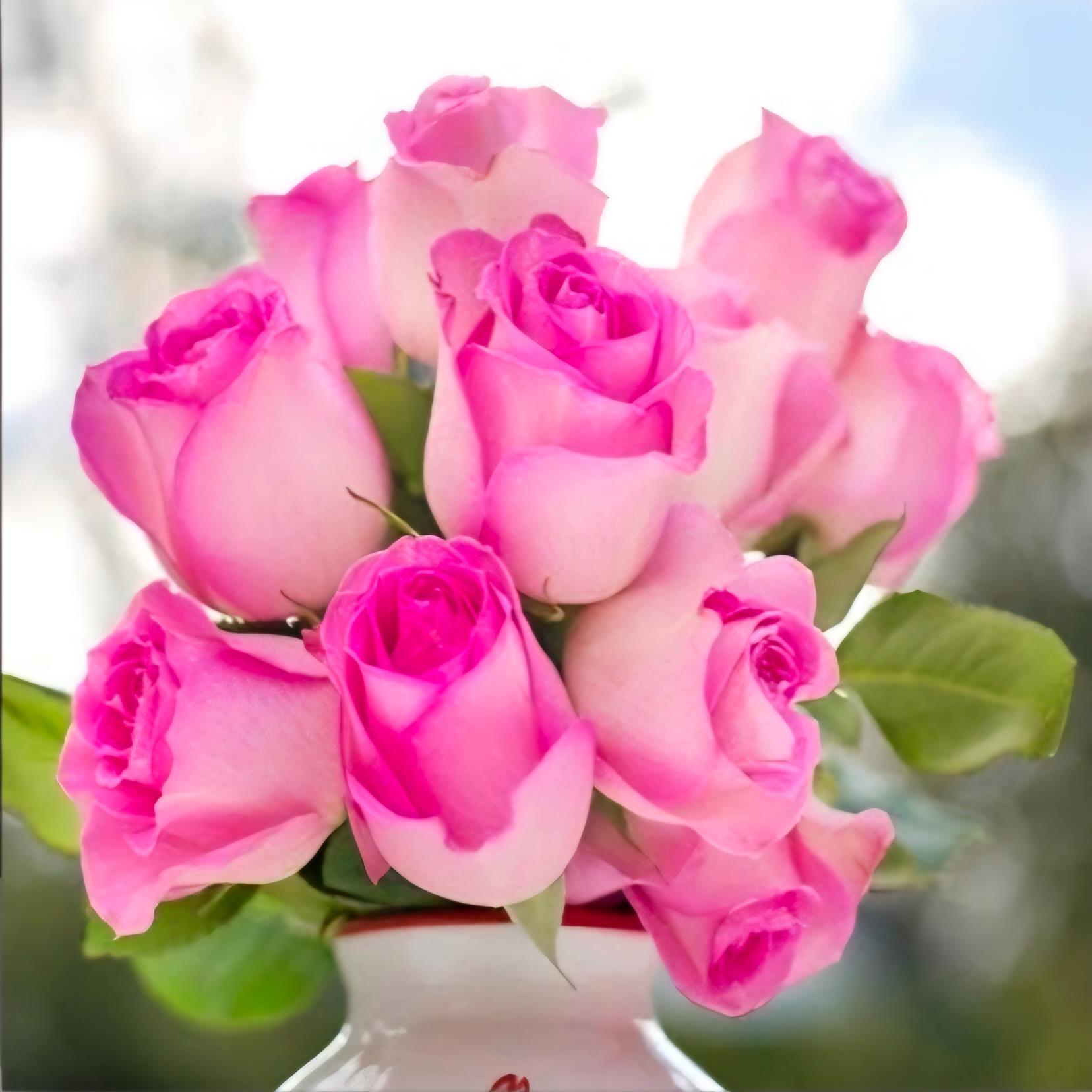 Barbara Jean Davis's obituary , Passed away on April 22, 2026 in Grass Valley, California