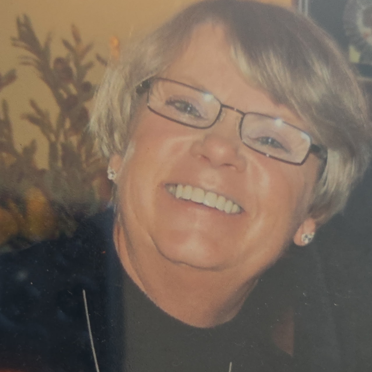 Gail "Brandon" Cook's obituary , Passed away on May 15, 2026 in Newmarket, Ontario