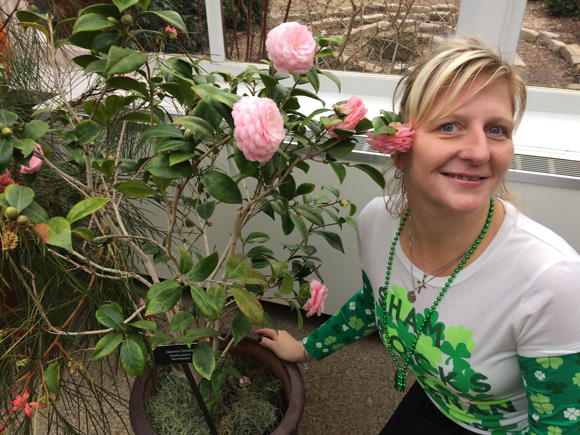 Sharon M. Lepore's obituary , Passed away on February 3, 2018 in Pittsburgh, Pennsylvania