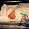 Shannon-Christine Marie Laffey