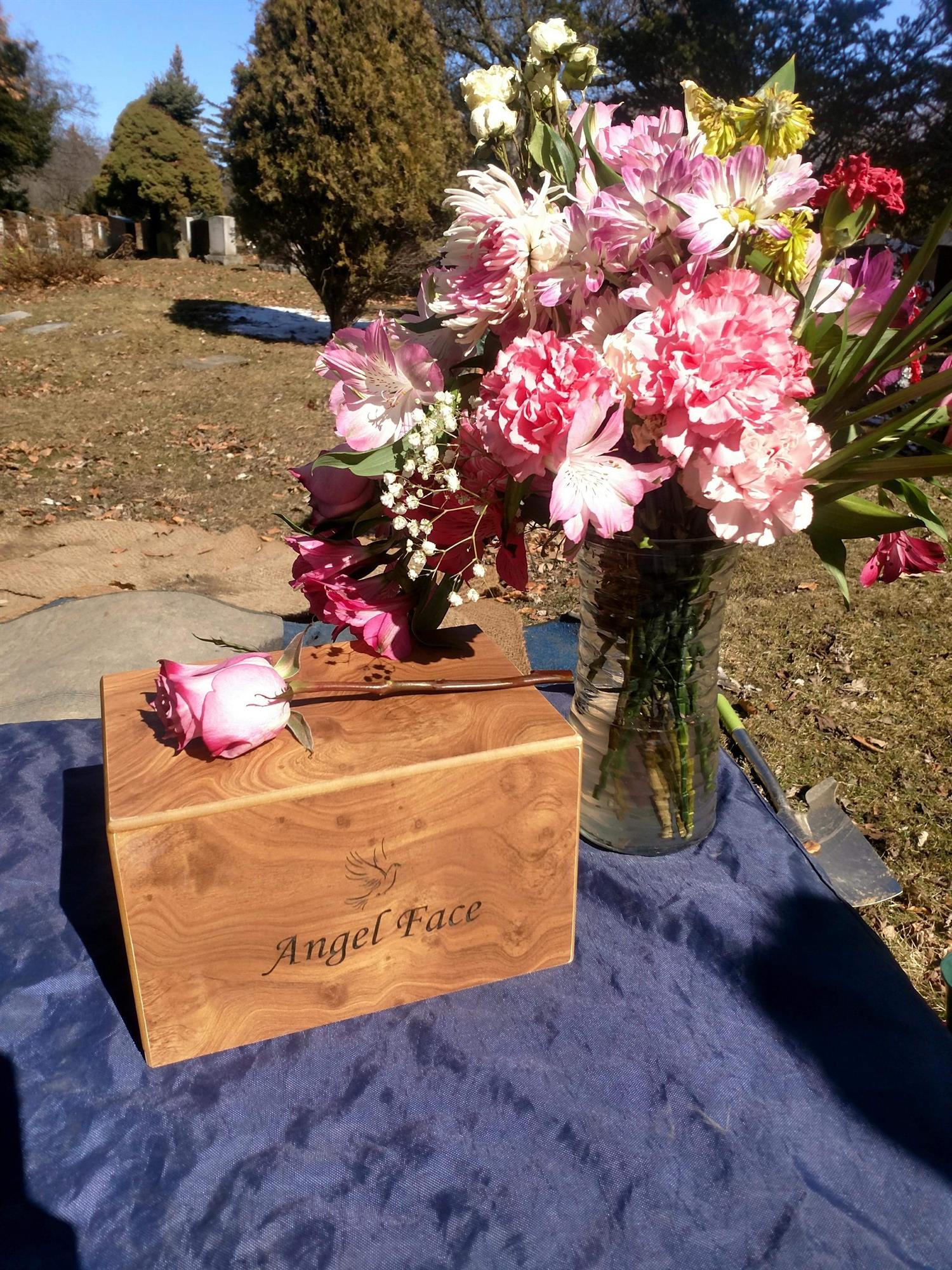 Michelle Robin Robin (Mica) Heraldo's obituary , Passed away on February 14, 2018 in Toronto, Ontario