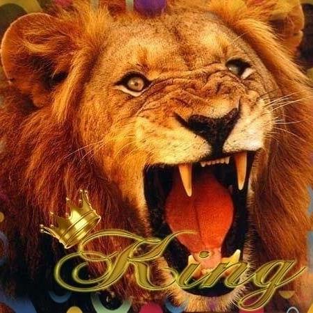 Edwin "Jay" Baez Jr.'s obituary , Passed away on August 8, 2018 in Colonia, New Jersey