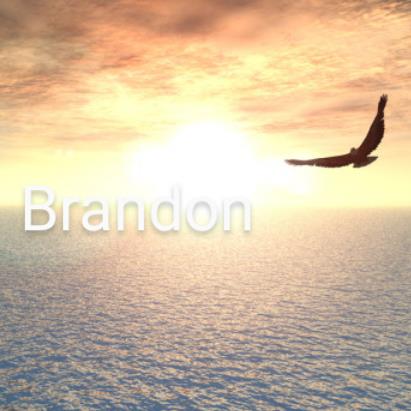 Brandon Alan Blakeburn's obituary , Passed away on October 14, 2018 in Poplar Bluff, Missouri