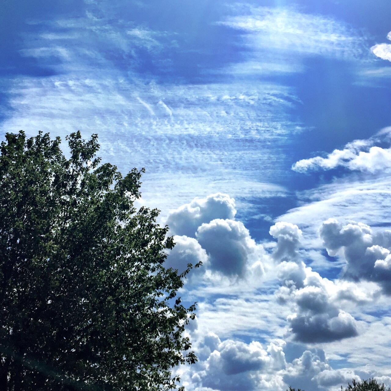 Franklin D. Steckel III