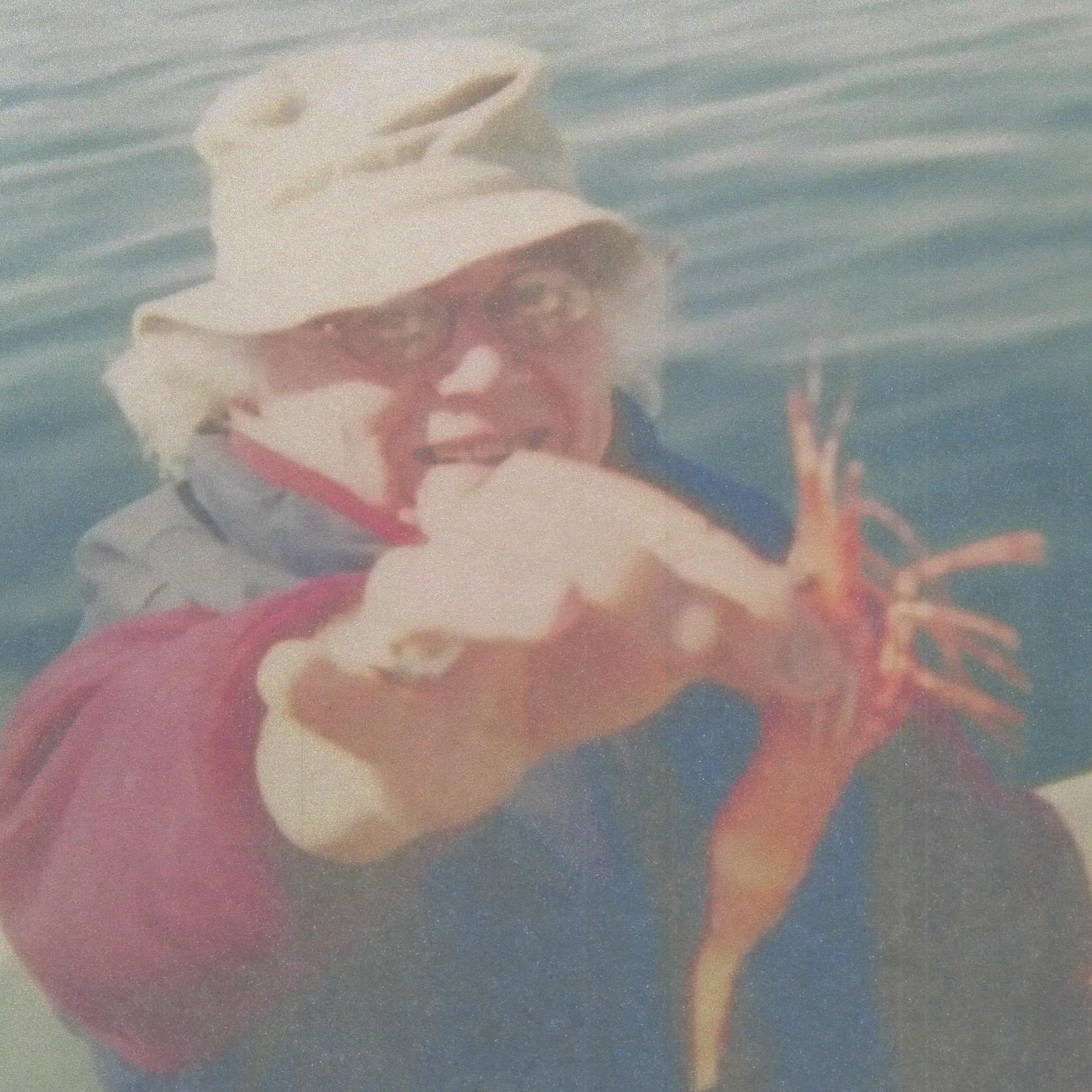 Donald Taylor Obituary