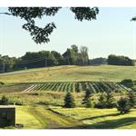 Daniel R. Shetka Obituary