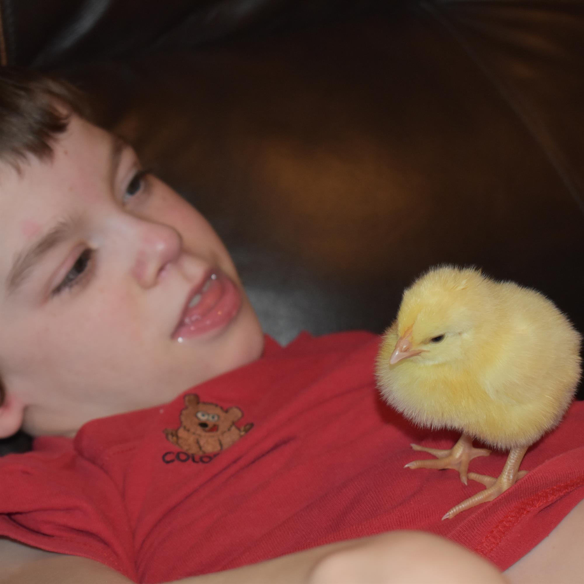 Chadwyn Lavell Gerber