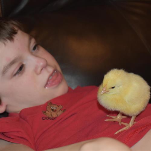 Chadwyn Lavell Gerber