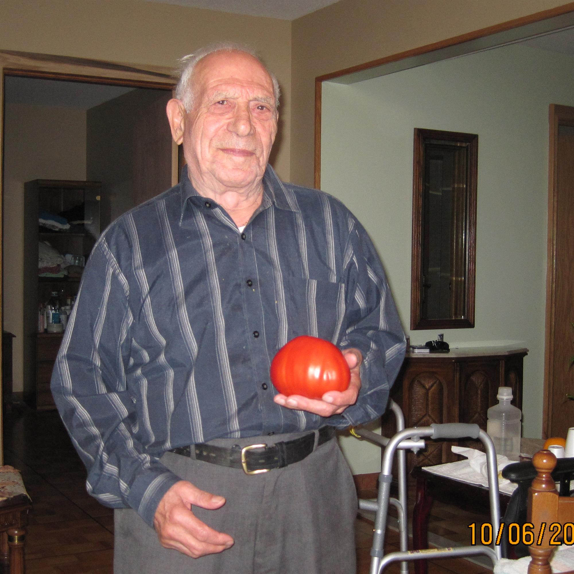 Orlando Salerno's obituary , Passed away on November 4, 2019 in Woodbridge, Ontario
