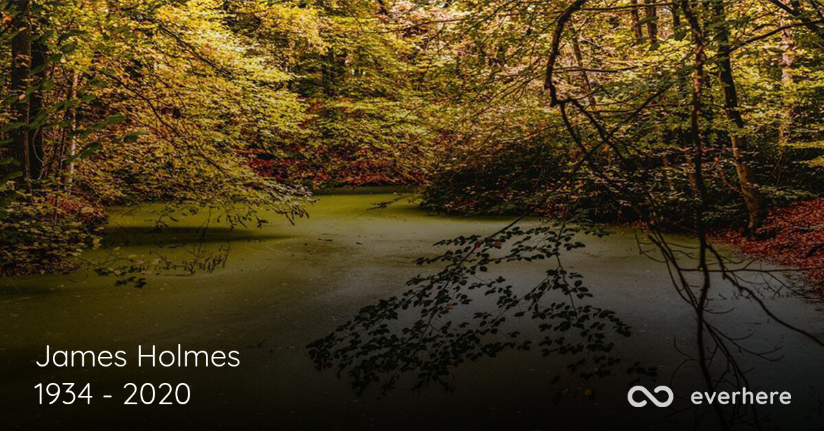 James Holmes Obituary (1934 2020) Saint Petersburg, Florida