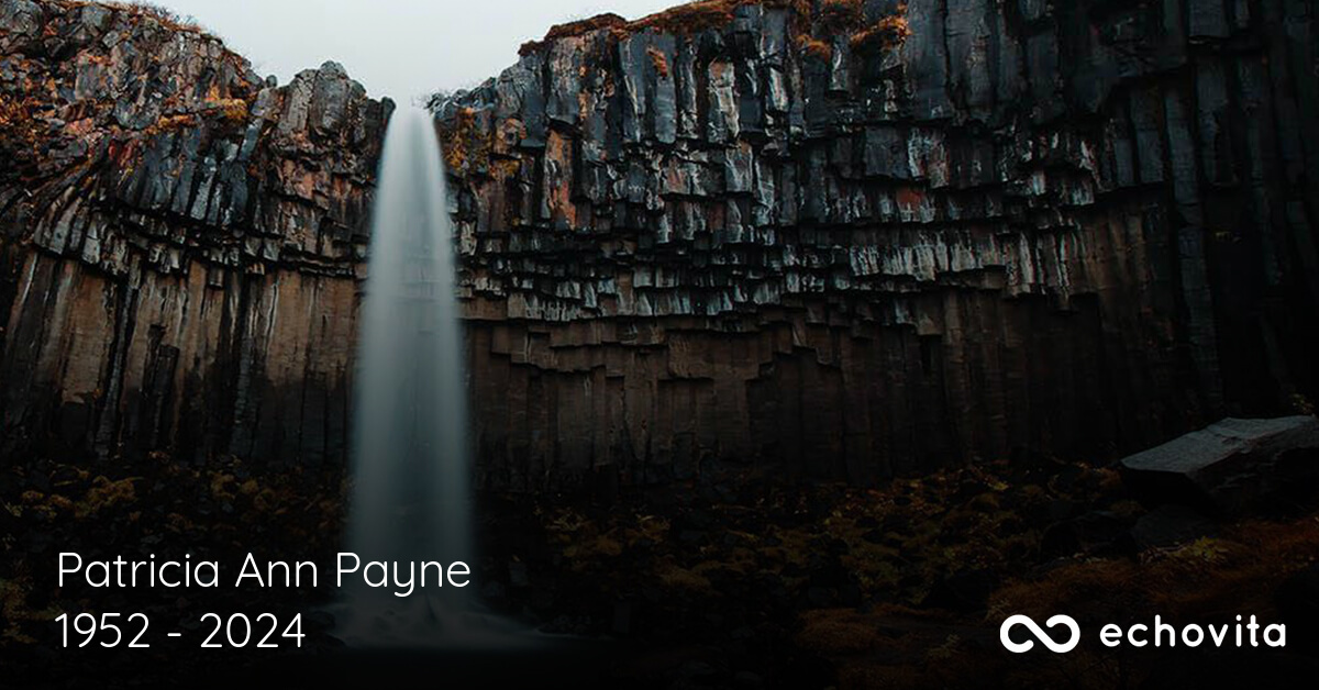 Patricia Ann Payne Obituary (19522024) McCaysville, GA