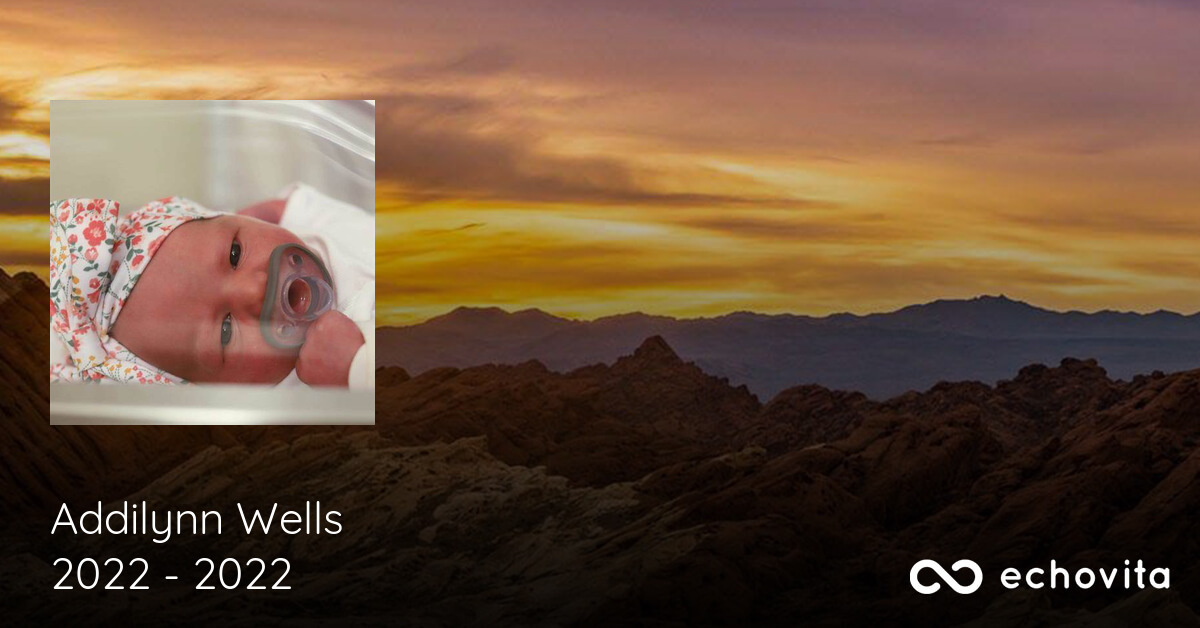 Addilynn Grace “Addi” Wells Obituary (2022 2022) Aurora, Missouri