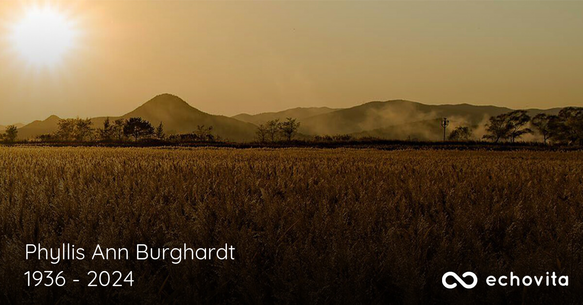 Phyllis Ann Burghardt Obituary (19362024) Fraser, MI