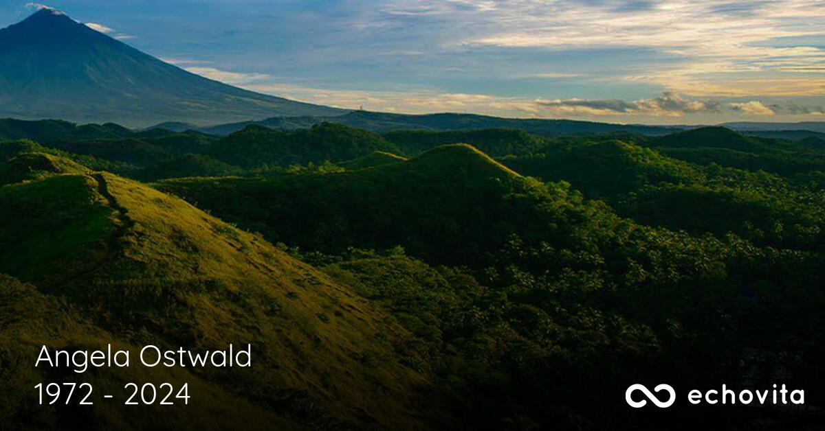 Angela Ann Ostwald Obituary (19722024) Minneapolis, MN