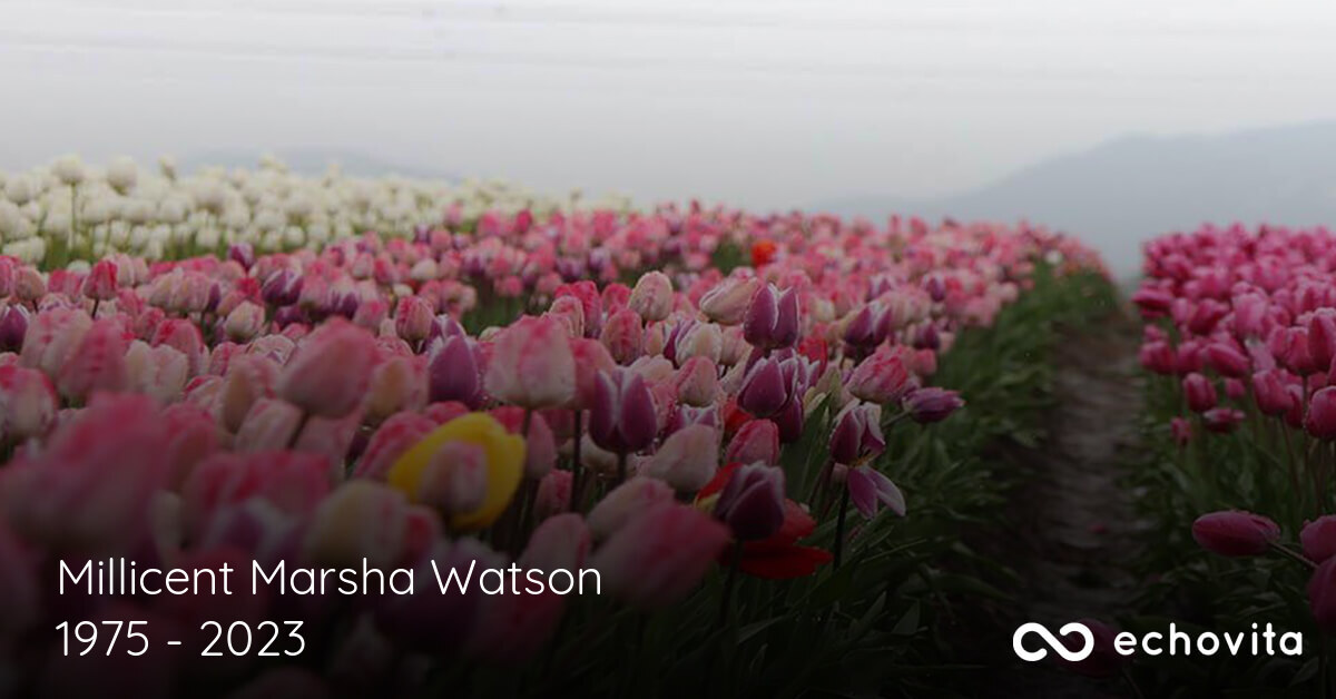 Millicent Marsha Watson Obituary (1975 2023) Saskatoon, Saskatchewan