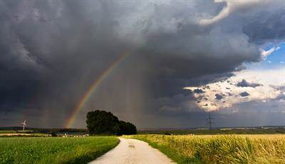 christopher bogley Effective ways of dealing with the grieving process