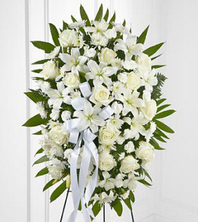 Tributes