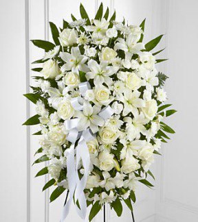 Tributes