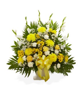 Tributes