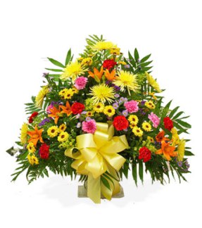 Tributes