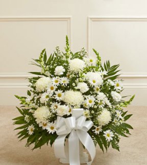 Tributes
